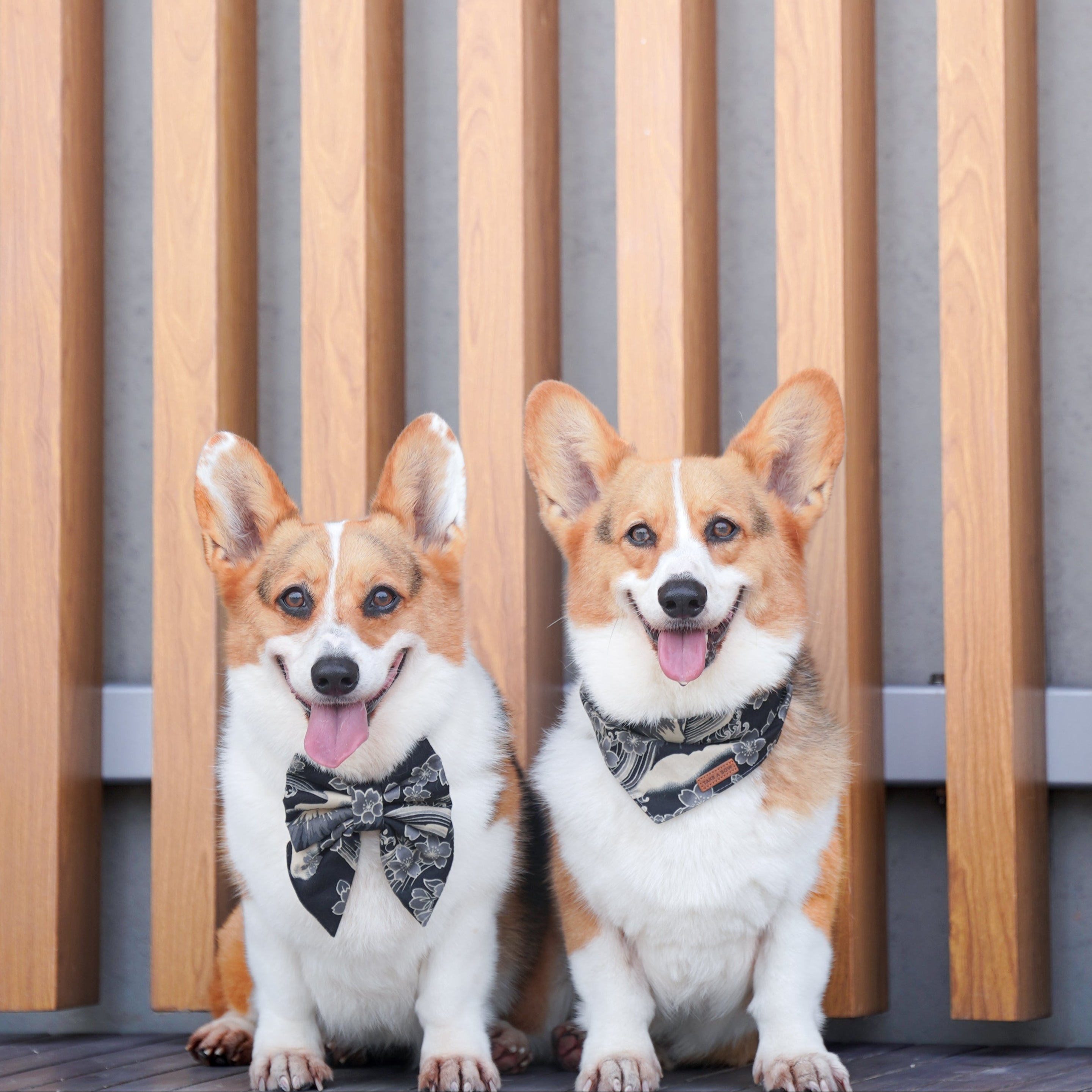 FUJI SHADOW - BANDANA