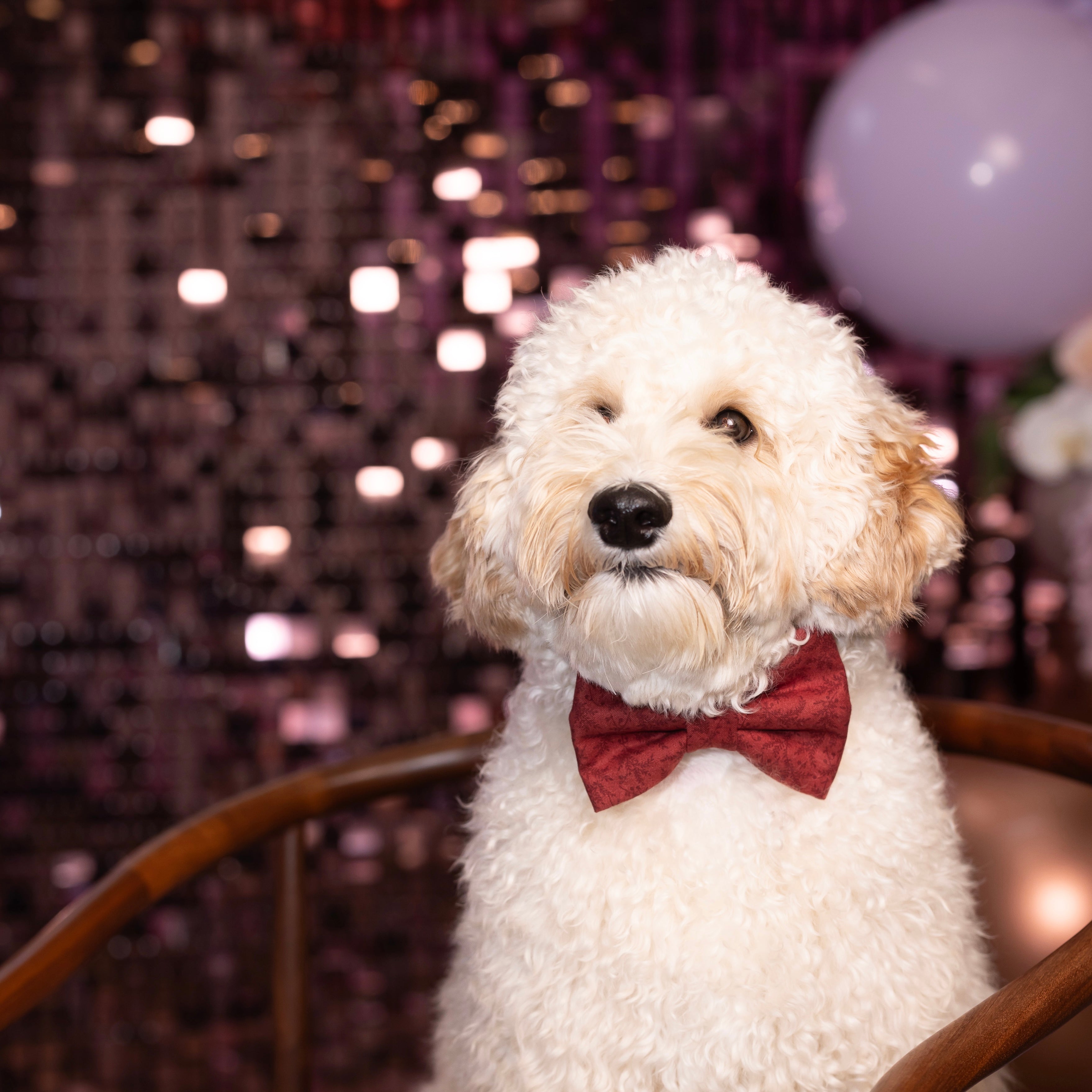 RED FERN - Bowtie Petite & Standard & Large // READY TO SHIP