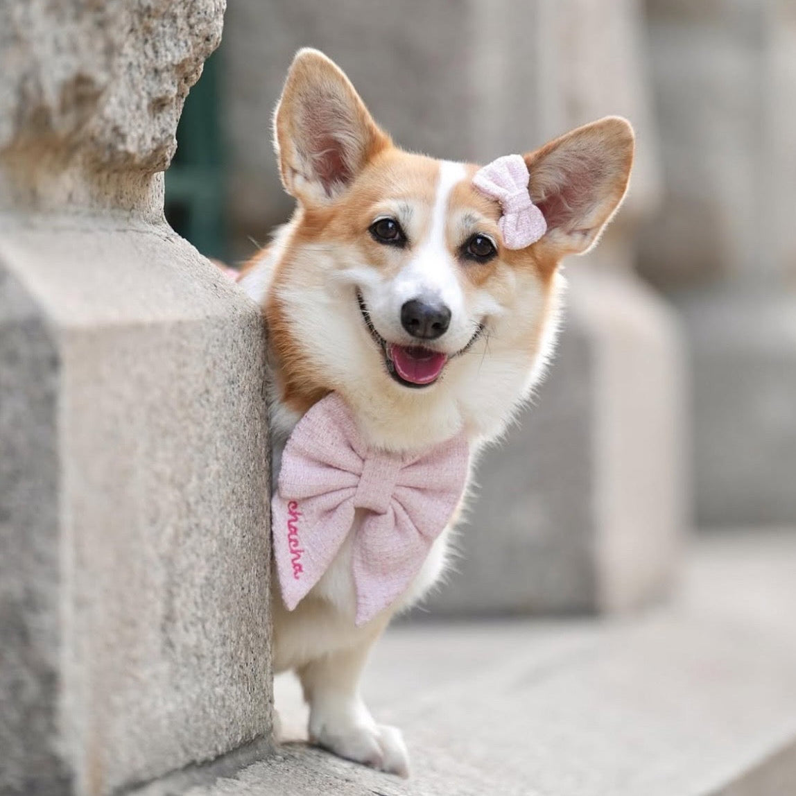 MINI PET HAIR BOW