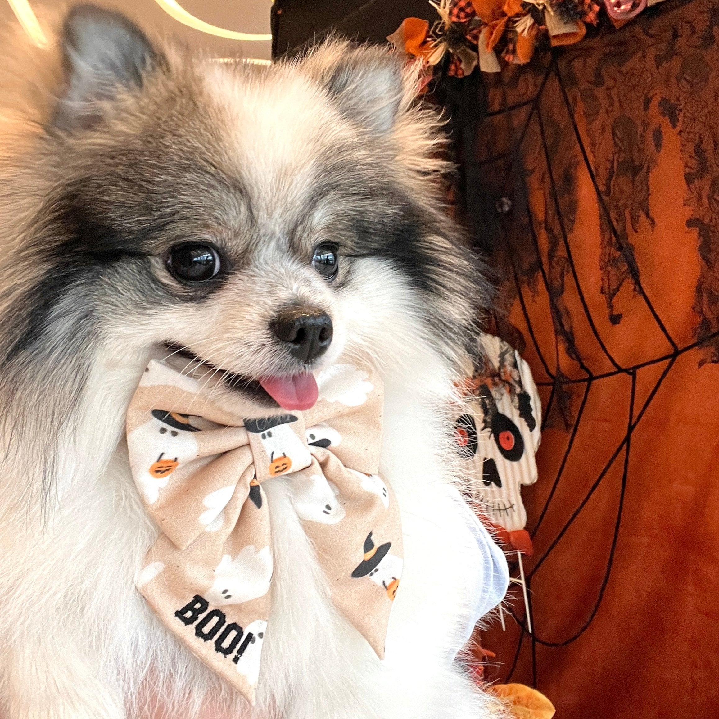 BOO! WITH EMBROIDERY // READY TO SHIP