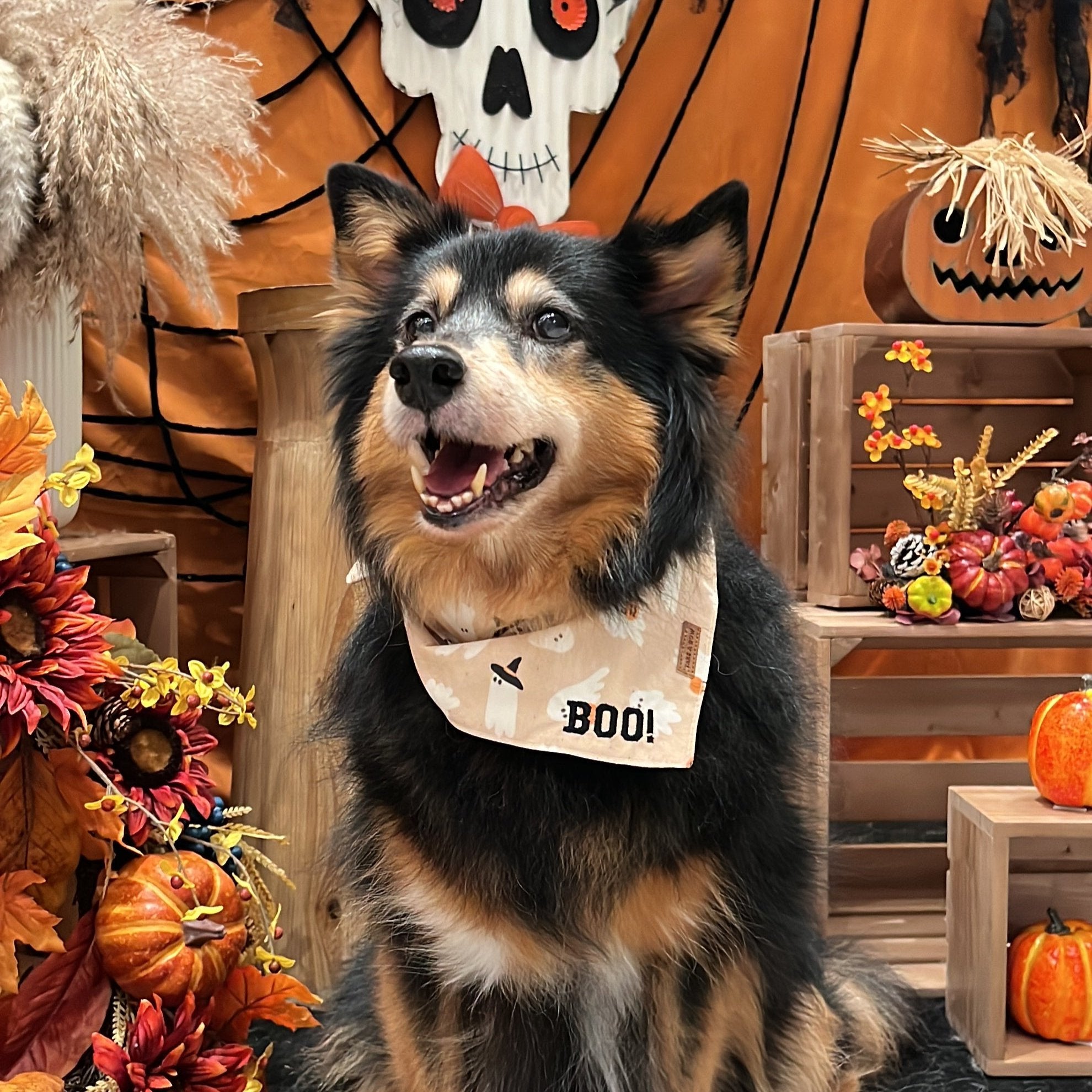 BOO! WITH EMBROIDERY // READY TO SHIP