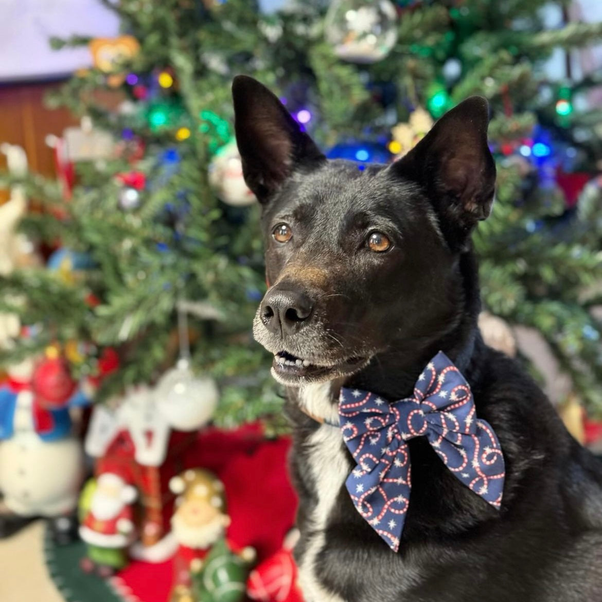 CANDYCANE SWIRLS - Sailor Bow Large // READY TO SHIP