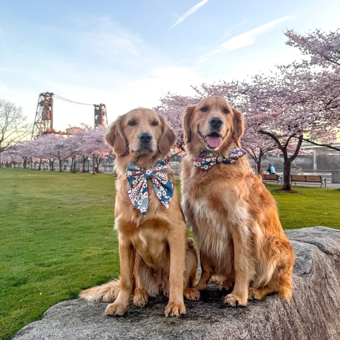 FUYU WINTER - Sailor Bow Large // READY TO SHIP