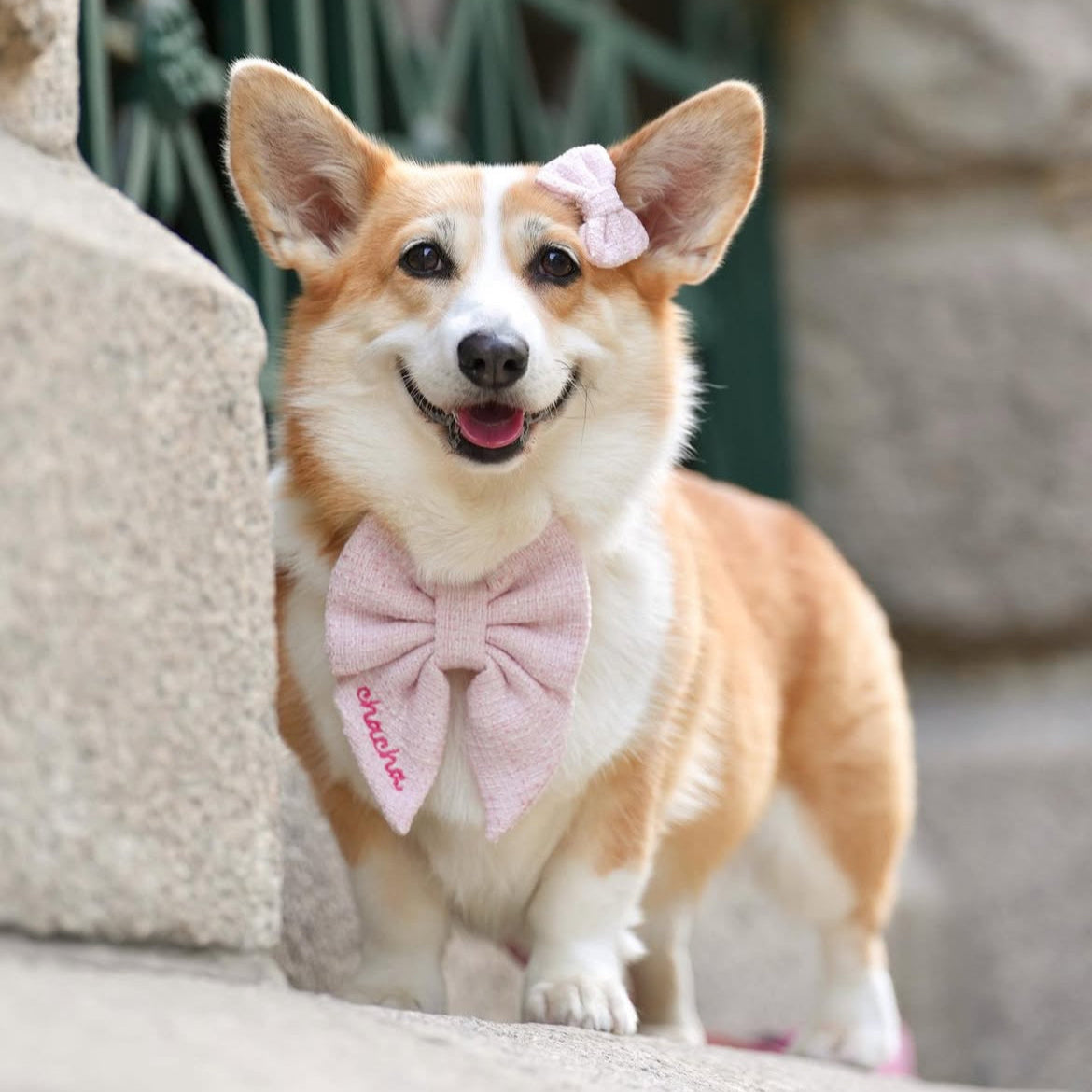 MINI PET HAIR BOW