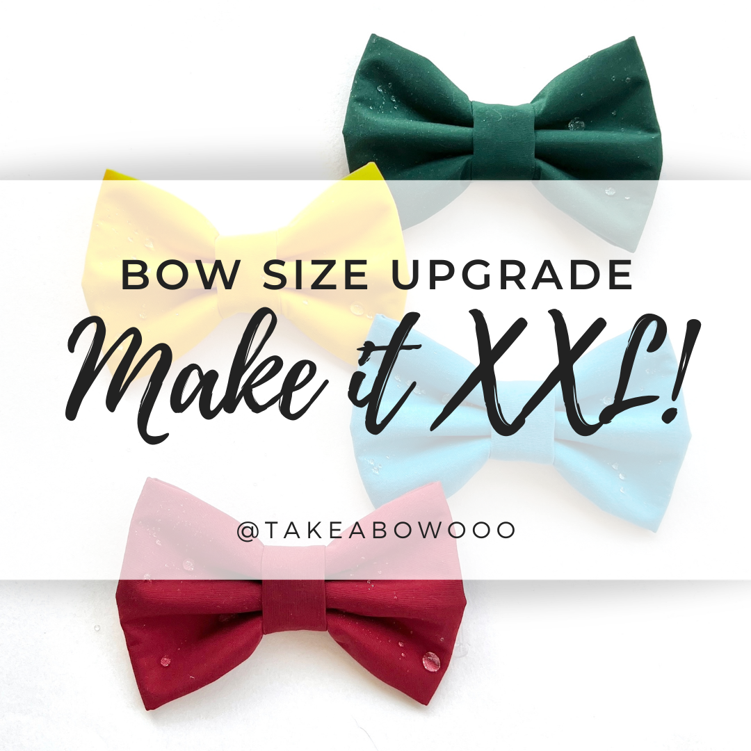MAKE IT XXL! // BOW SIZE UPGRADE