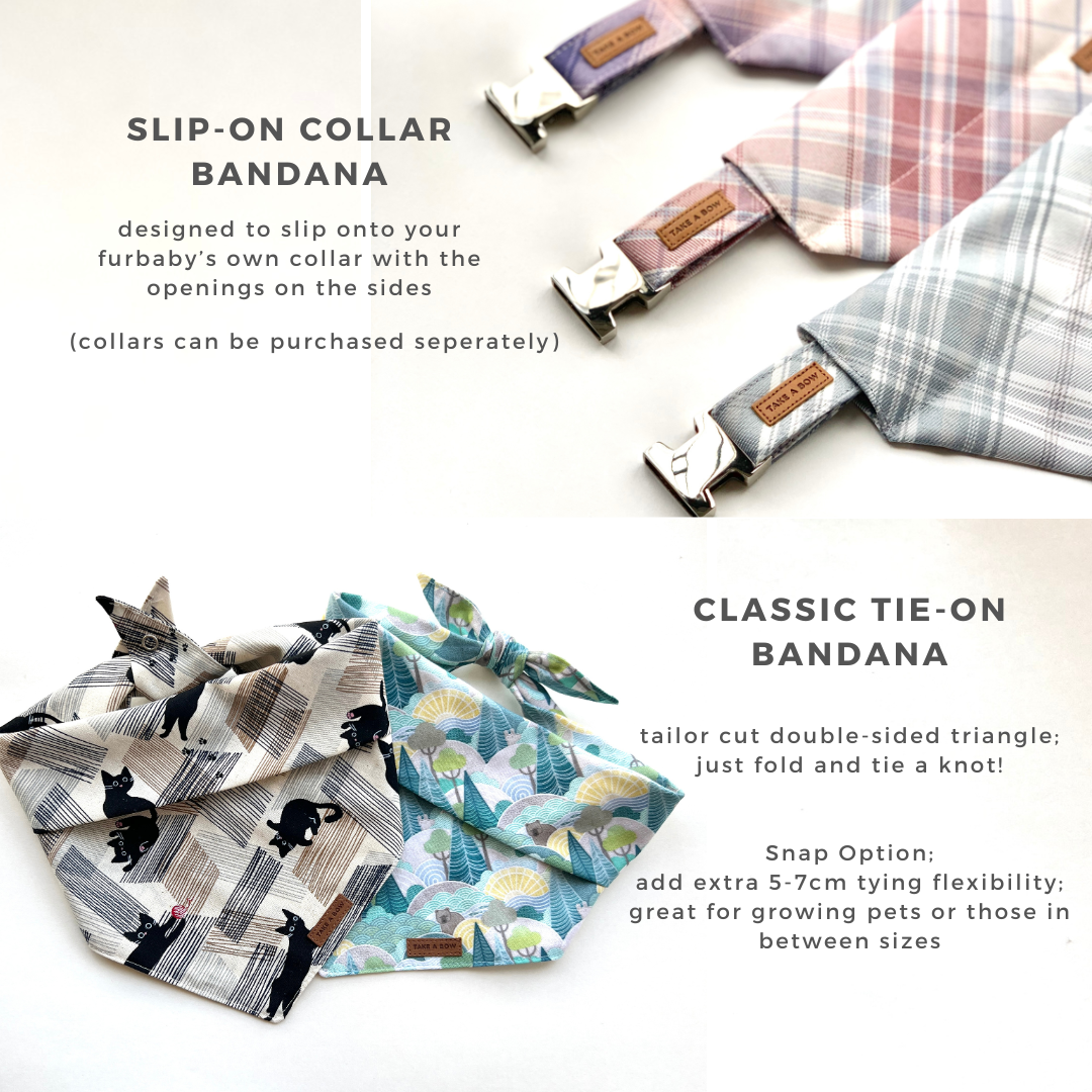 BEST GIFT EVER - BANDANA