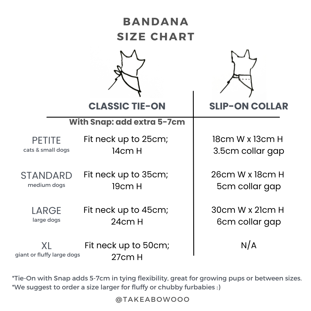 BEST GIFT EVER - BANDANA