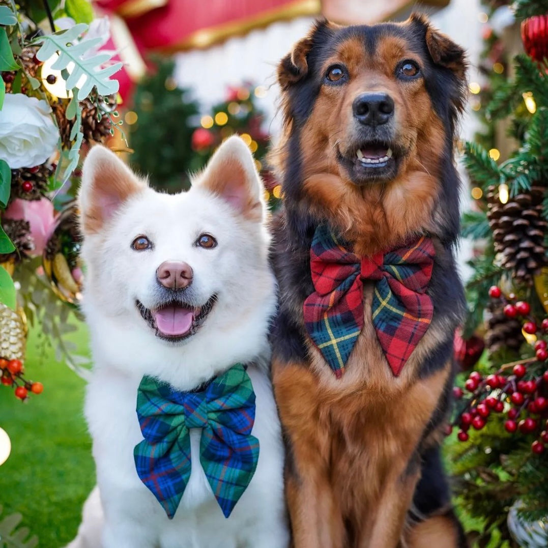 CORDUROY // MERRICK - Sailor Bow Large // READY TO SHIP