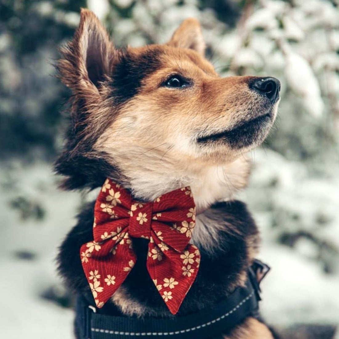 KIMONO RED - SAILOR BOW