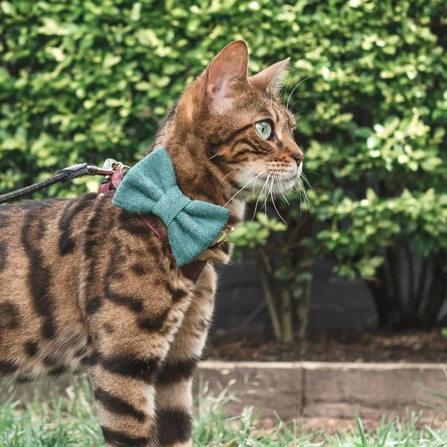 HERRINGBONE FLANNEL // HARRISON - Bowtie Petite // READY TO SHIP