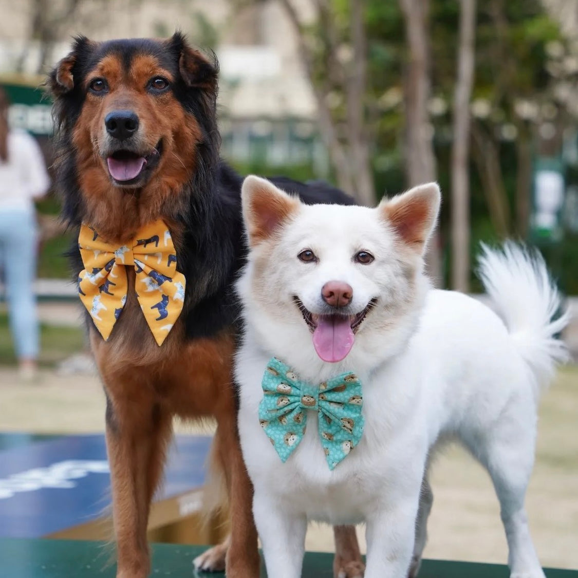 DALA HORSE - Bowtie Large // READY TO SHIP