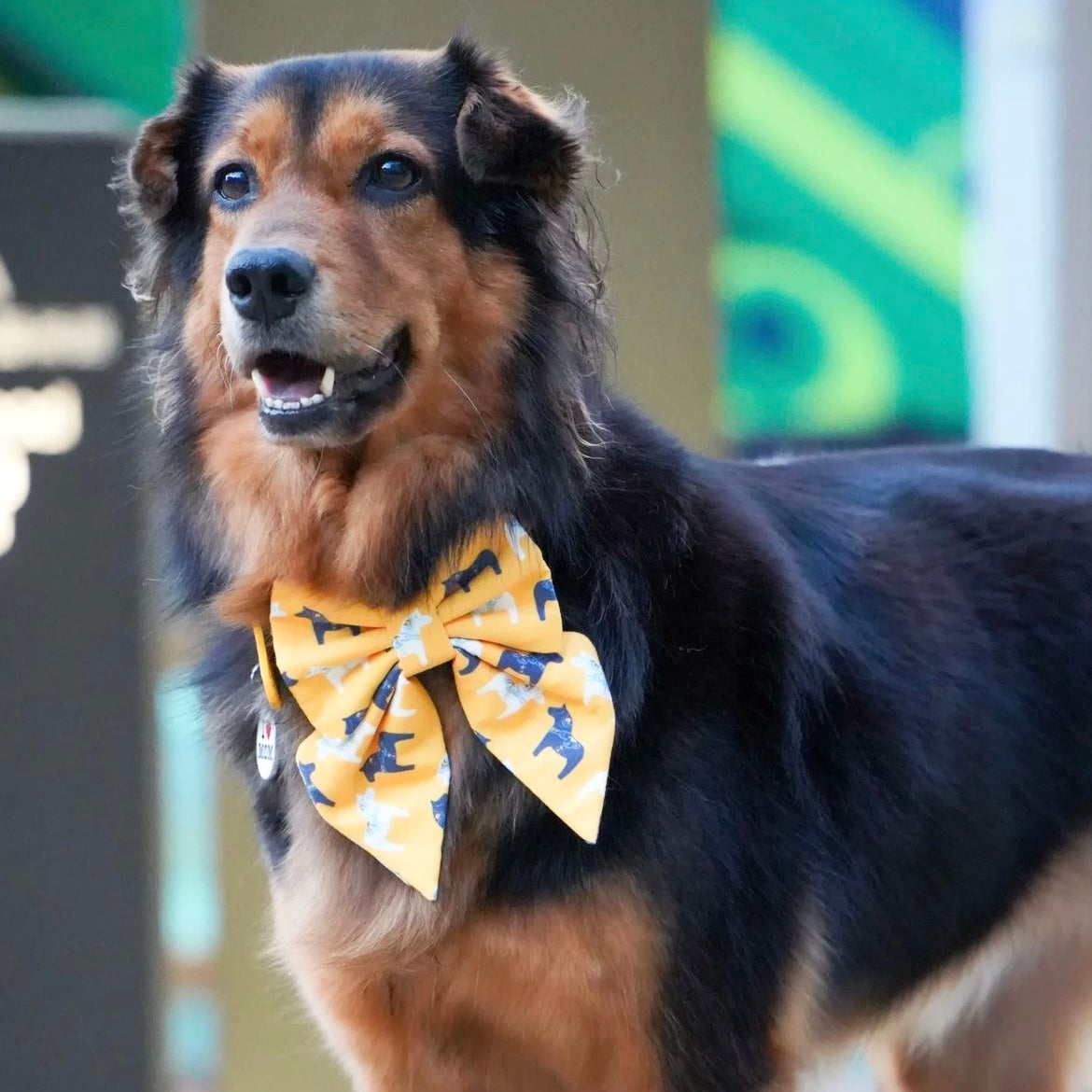 DALA HORSE - Bowtie Large // READY TO SHIP