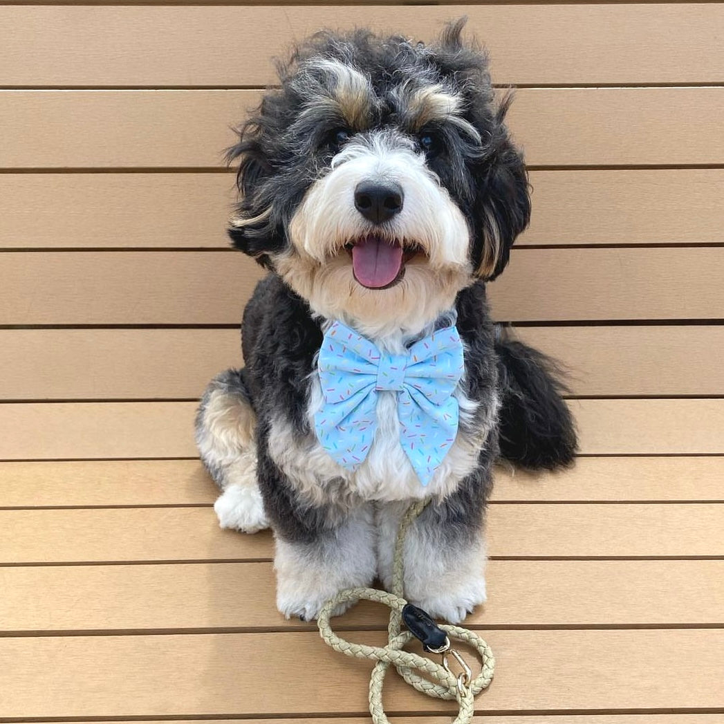 PAWTY SPRINKLES MAYA BLUE - SAILOR BOW