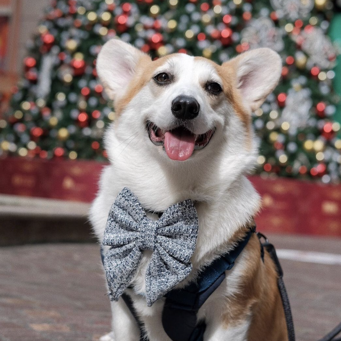 TWEED // COCO - SAILOR BOW