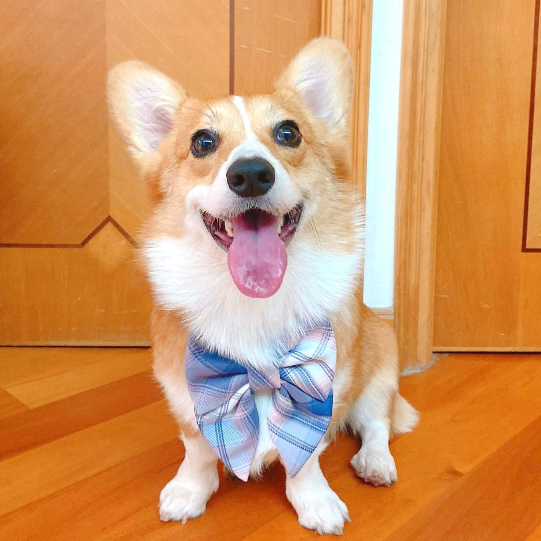 KITAKYUSHU - Sailor Standard // READY TO SHIP