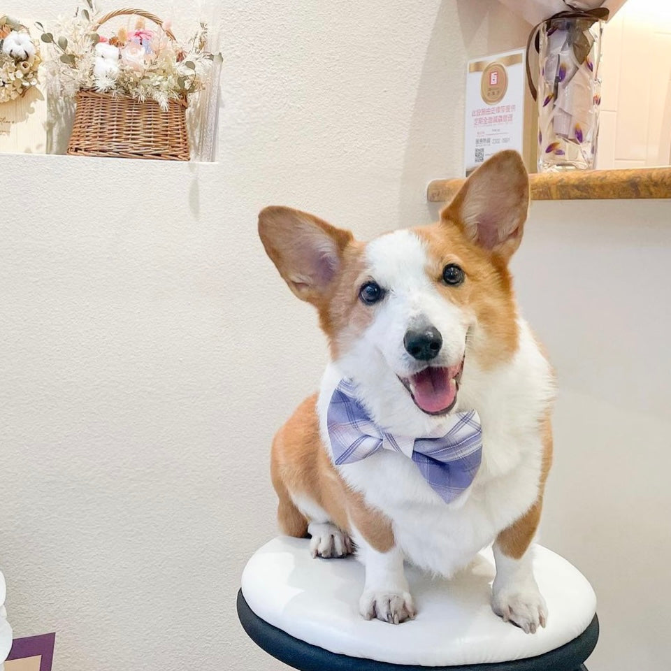 KITAKYUSHU - Sailor Standard // READY TO SHIP