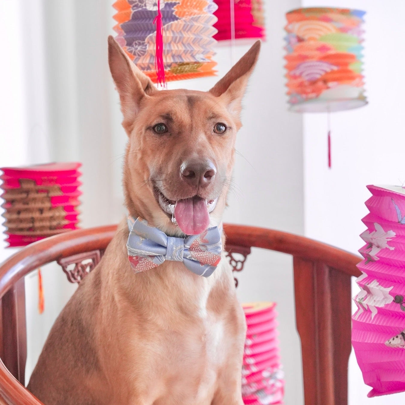 JAPANESE BROCADE // KOI VERSION 2