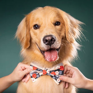 YAEZAKURA - Dog Collar 2cm Large // READY TO SHIP