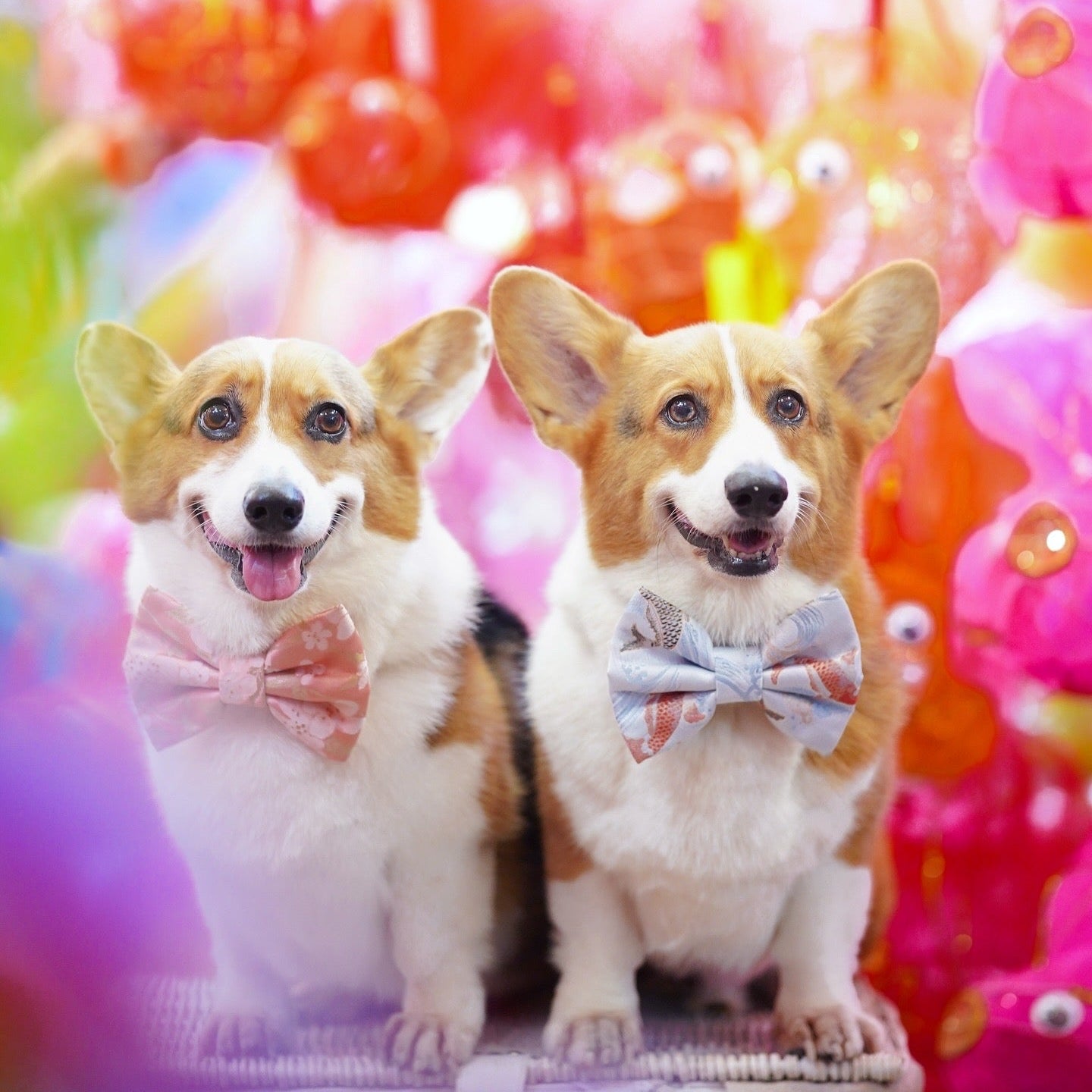 JAPANESE BROCADE // KOI VERSION 2