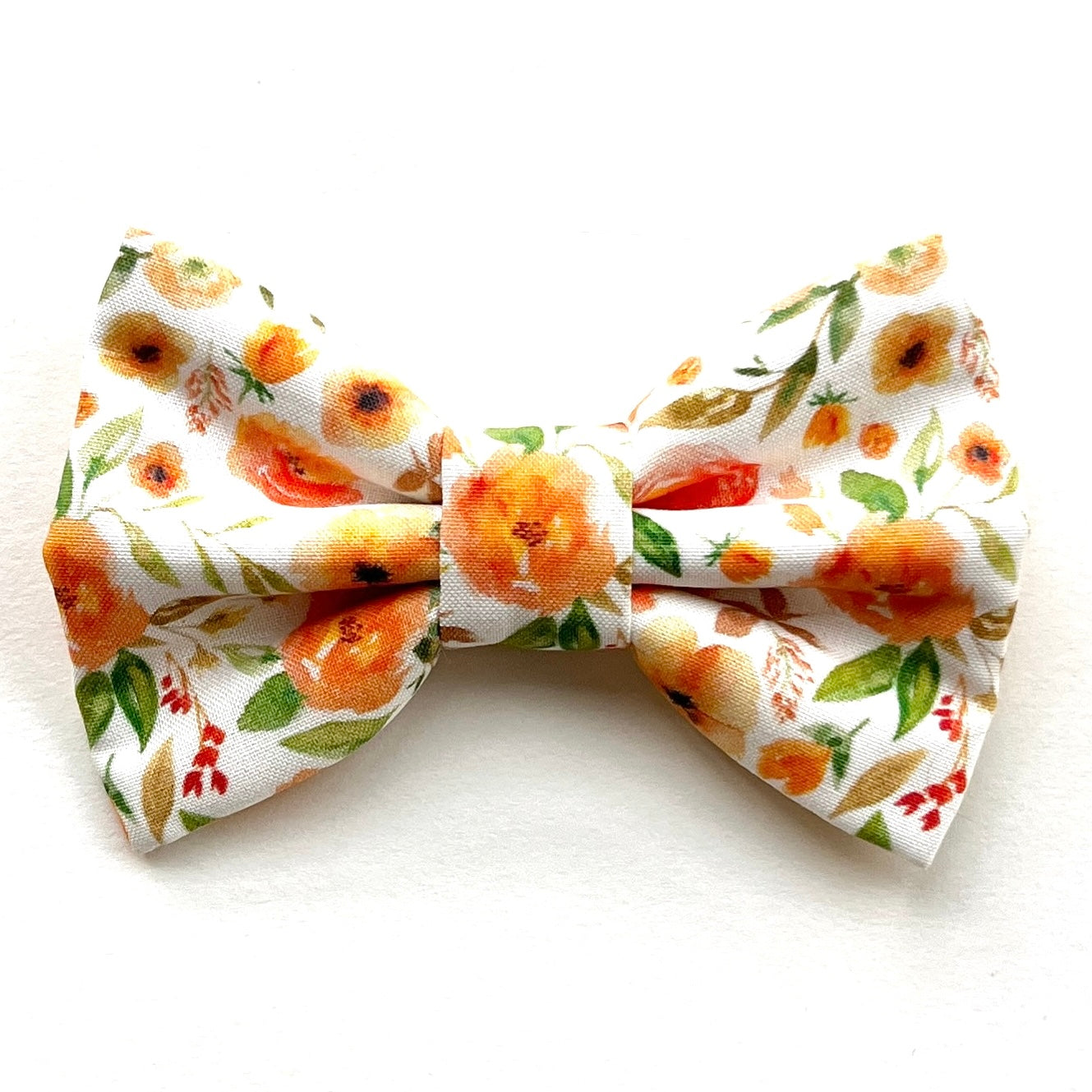 APRICOT POPPY - CAT COLLAR