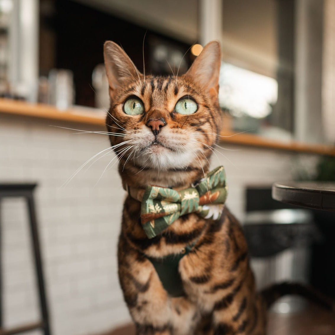 BAMBOO CHIKURIN GREEN - BANDANA