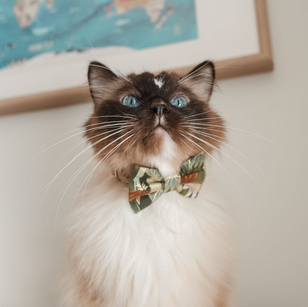 BAMBOO CHIKURIN GREEN - BANDANA