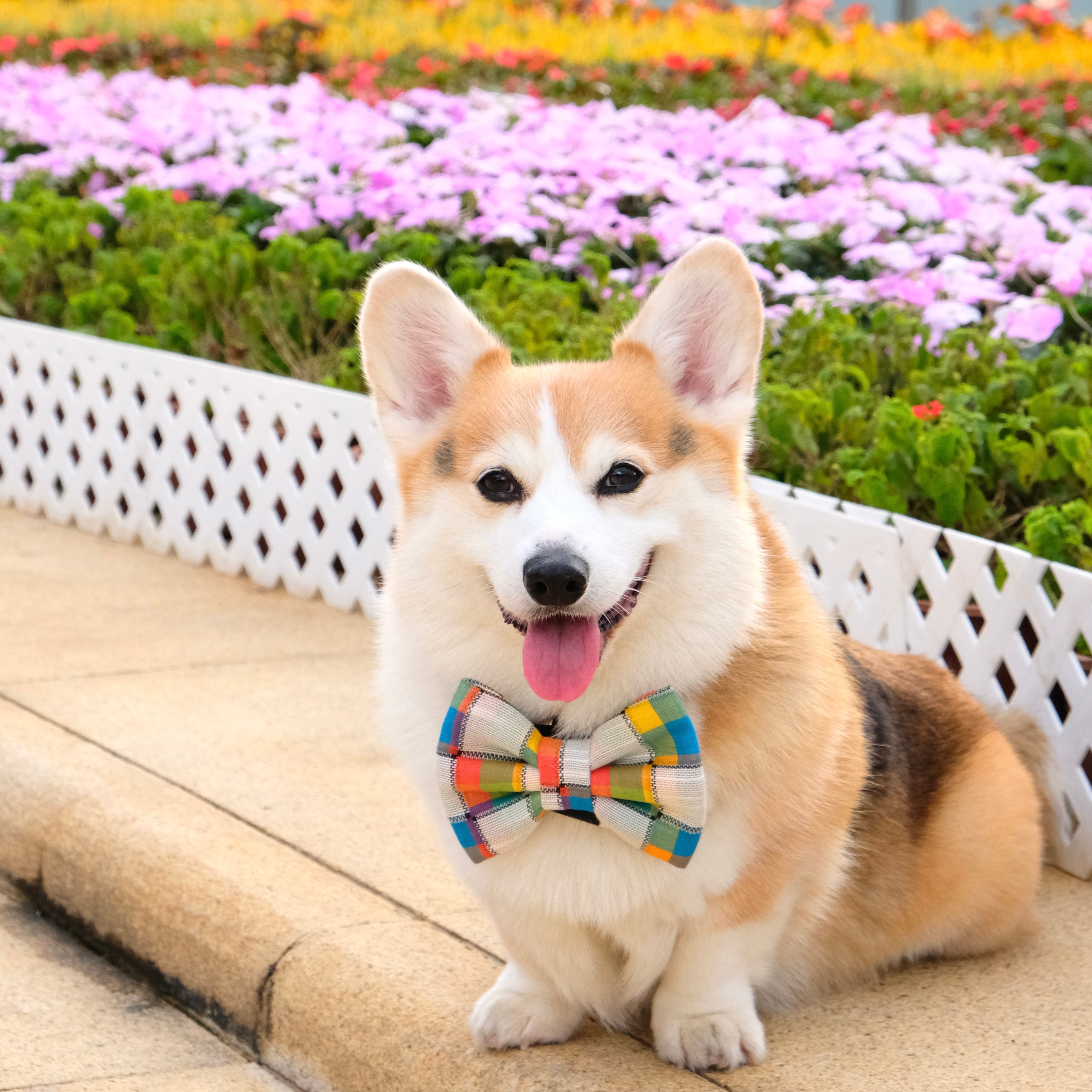 ITALIAN KNITS // SKYE - BANDANA