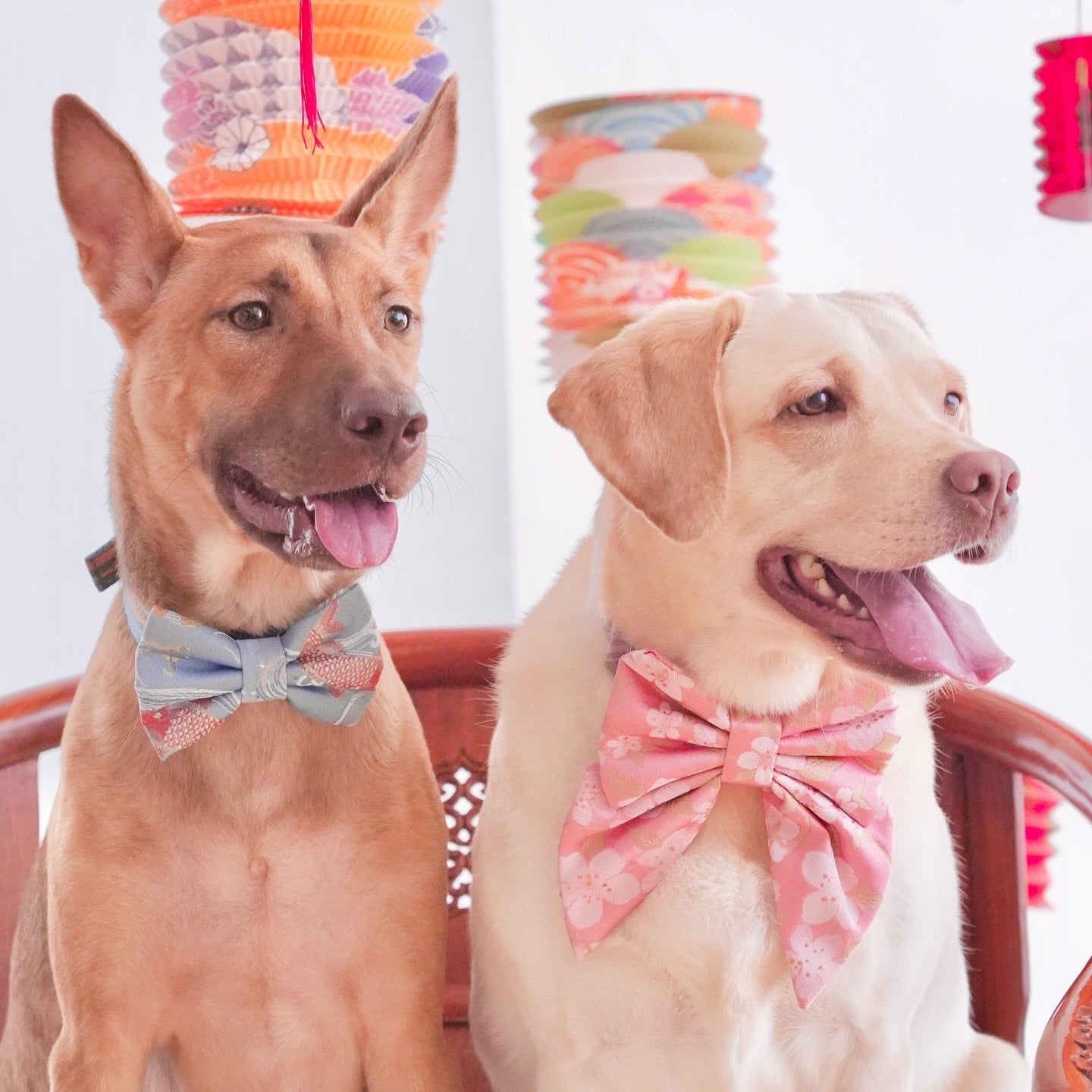 JAPANESE BROCADE // KOI VERSION 2