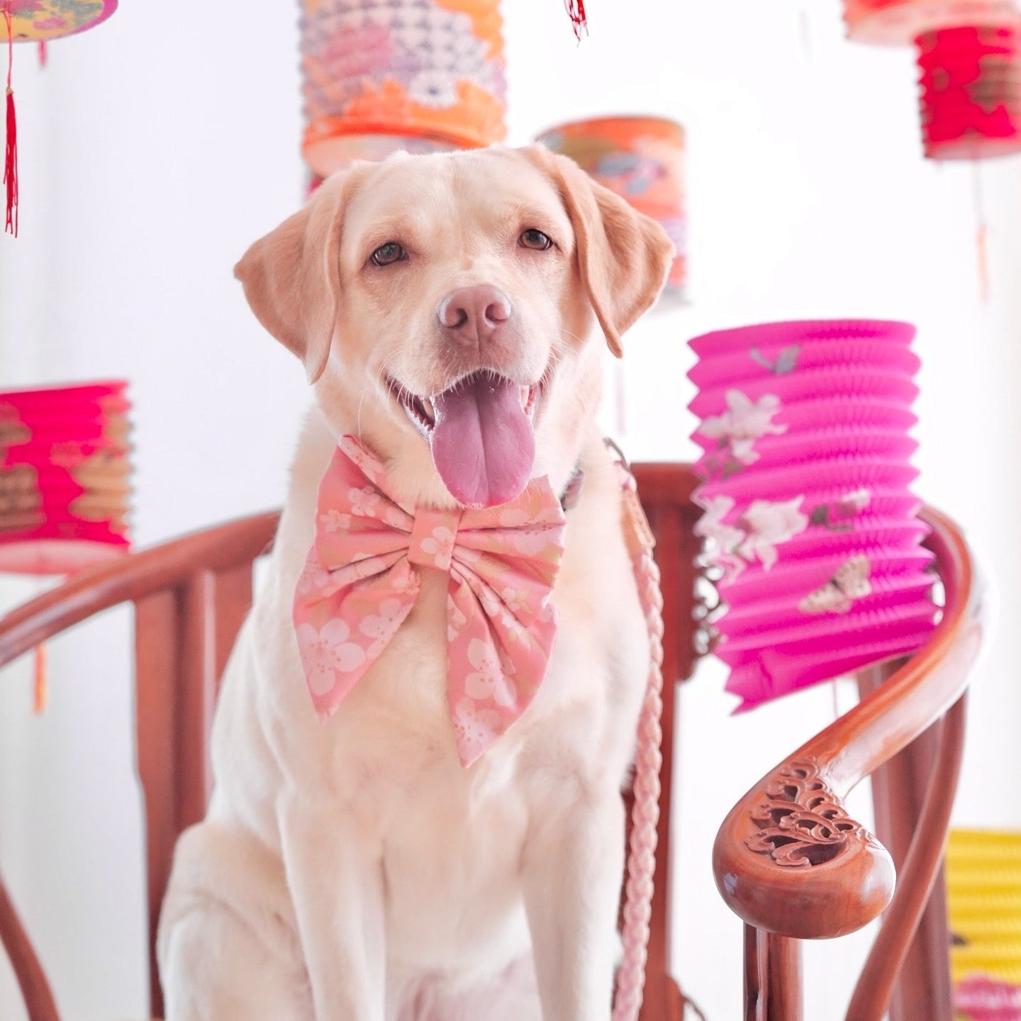 JAPANESE BROCADE // SAKURA