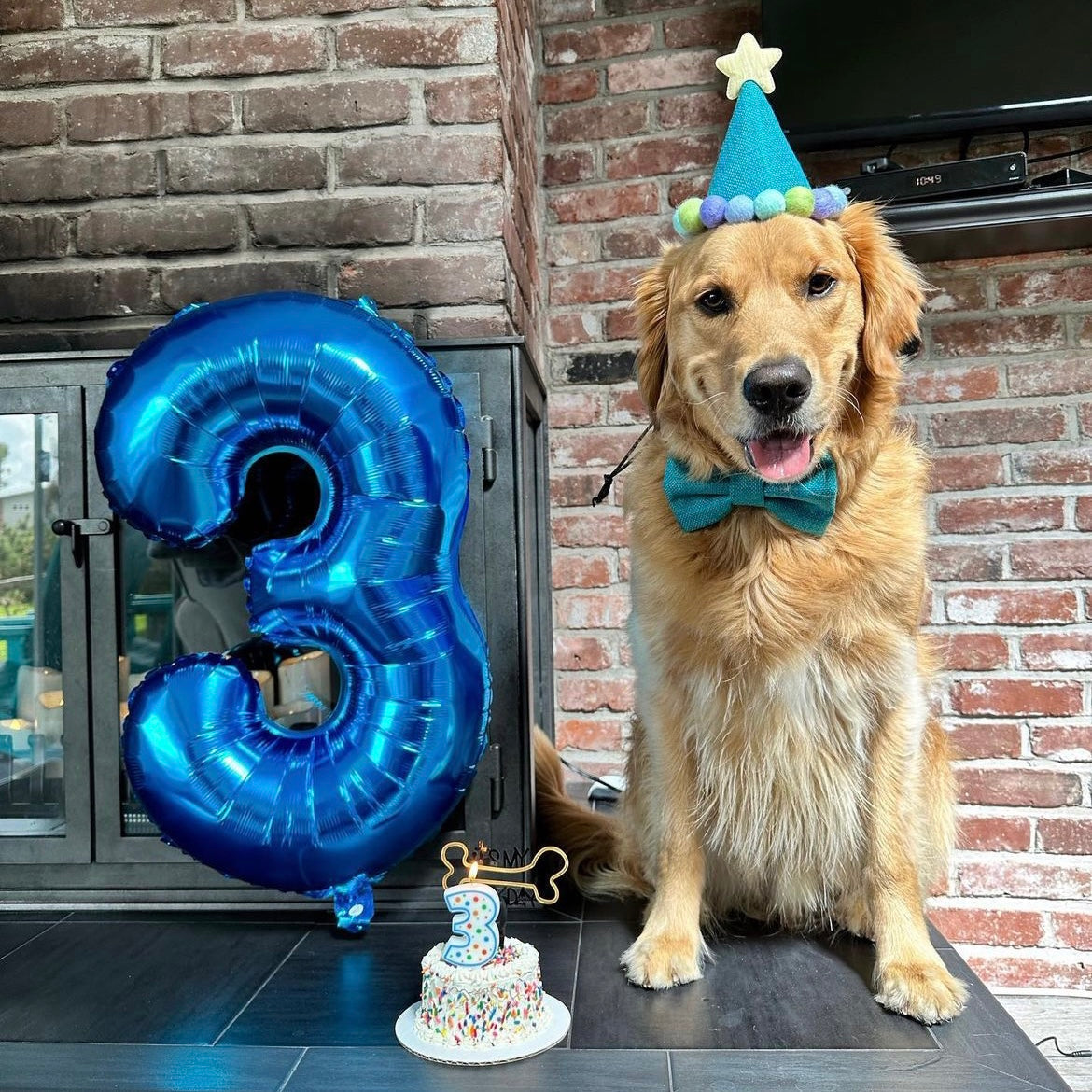 BARKDAY HAT - MANGO SUNDAE