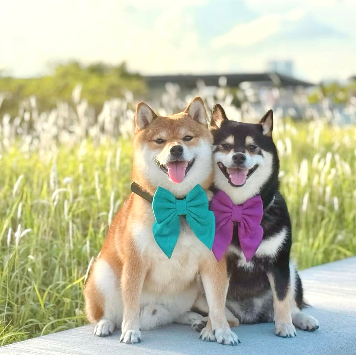 THAI BROCADE // AMETHYST