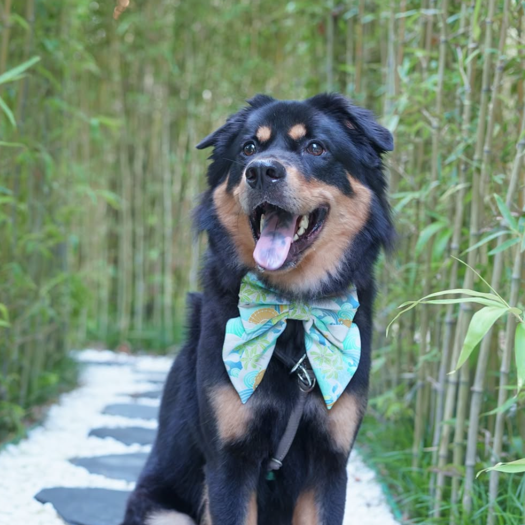 SURF PARADISE - BANDANA