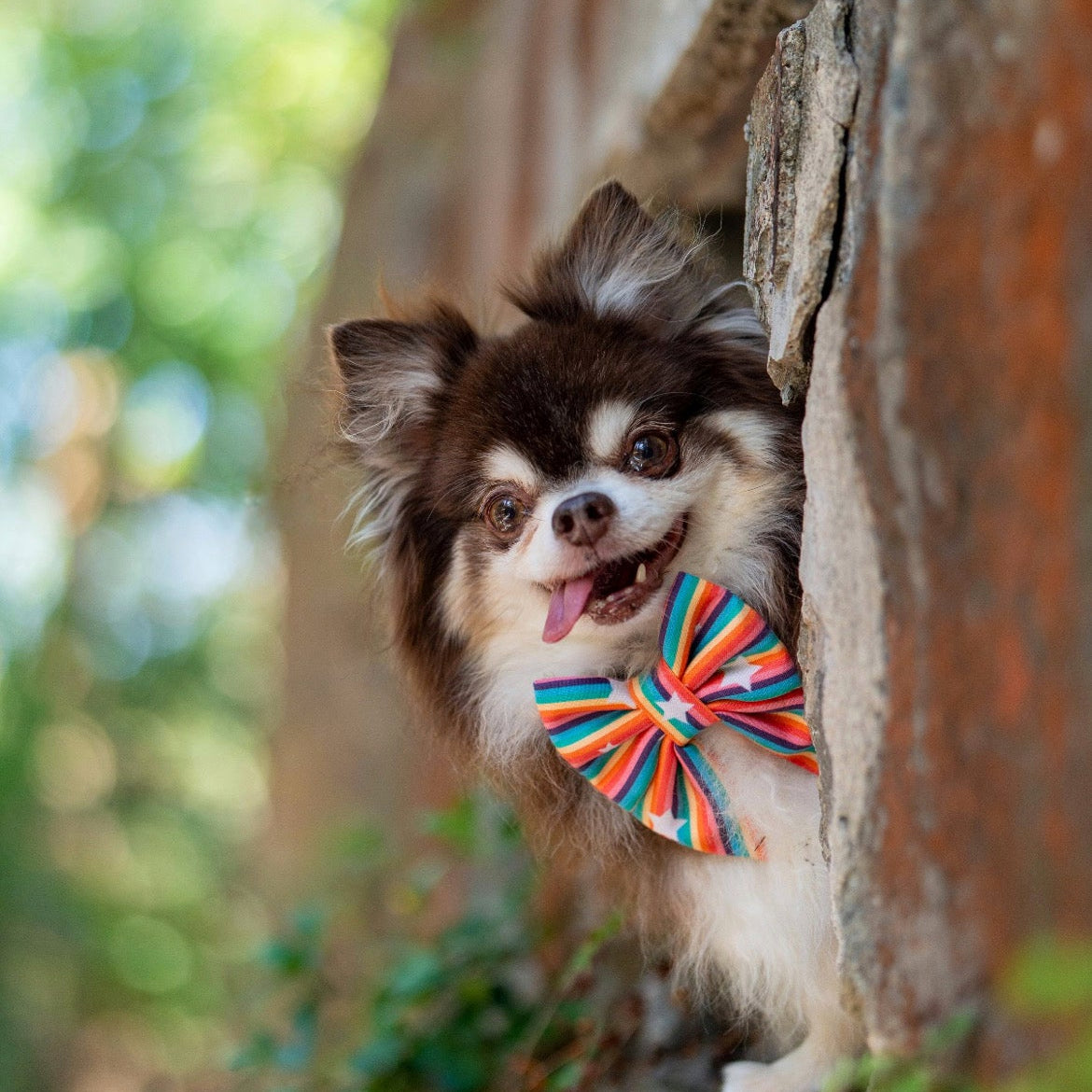RAINBOW STARS - BANDANA