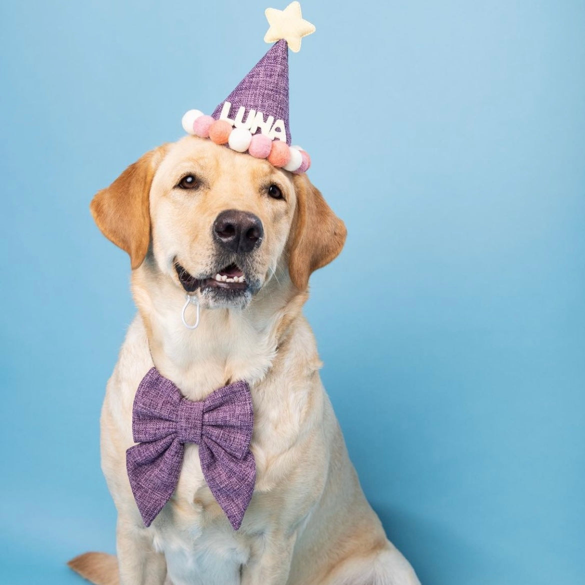 BARKDAY HAT - MANGO SUNDAE