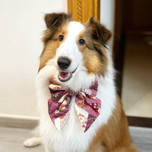 MIYAKO PURPLE - Dog Collar 2.5cm Large // READY TO SHIP