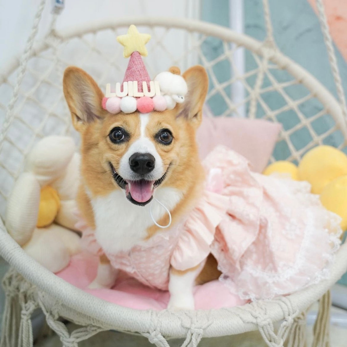 BARKDAY HAT - PINK MARSHMALLOW