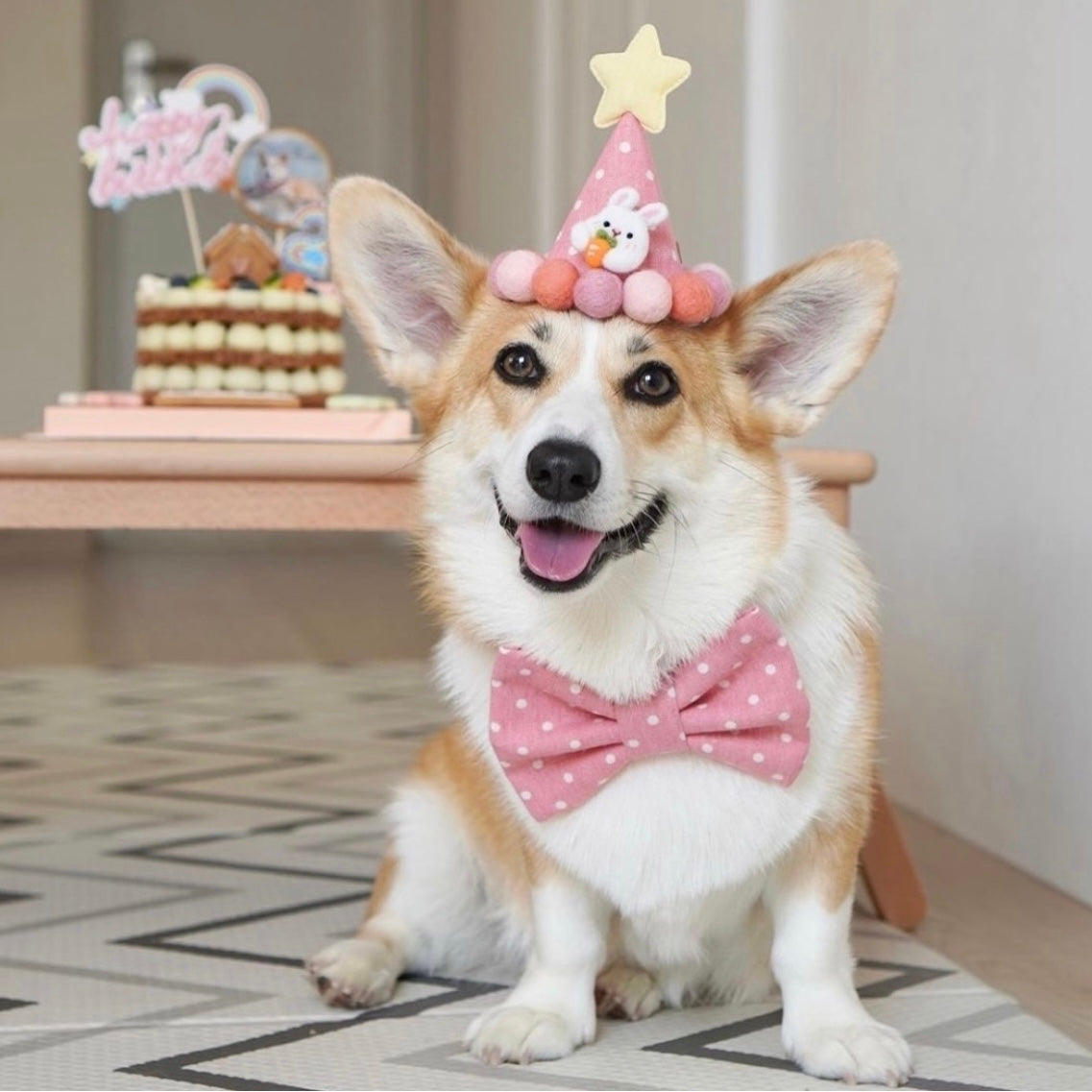 BARKDAY HAT - PINK MARSHMALLOW