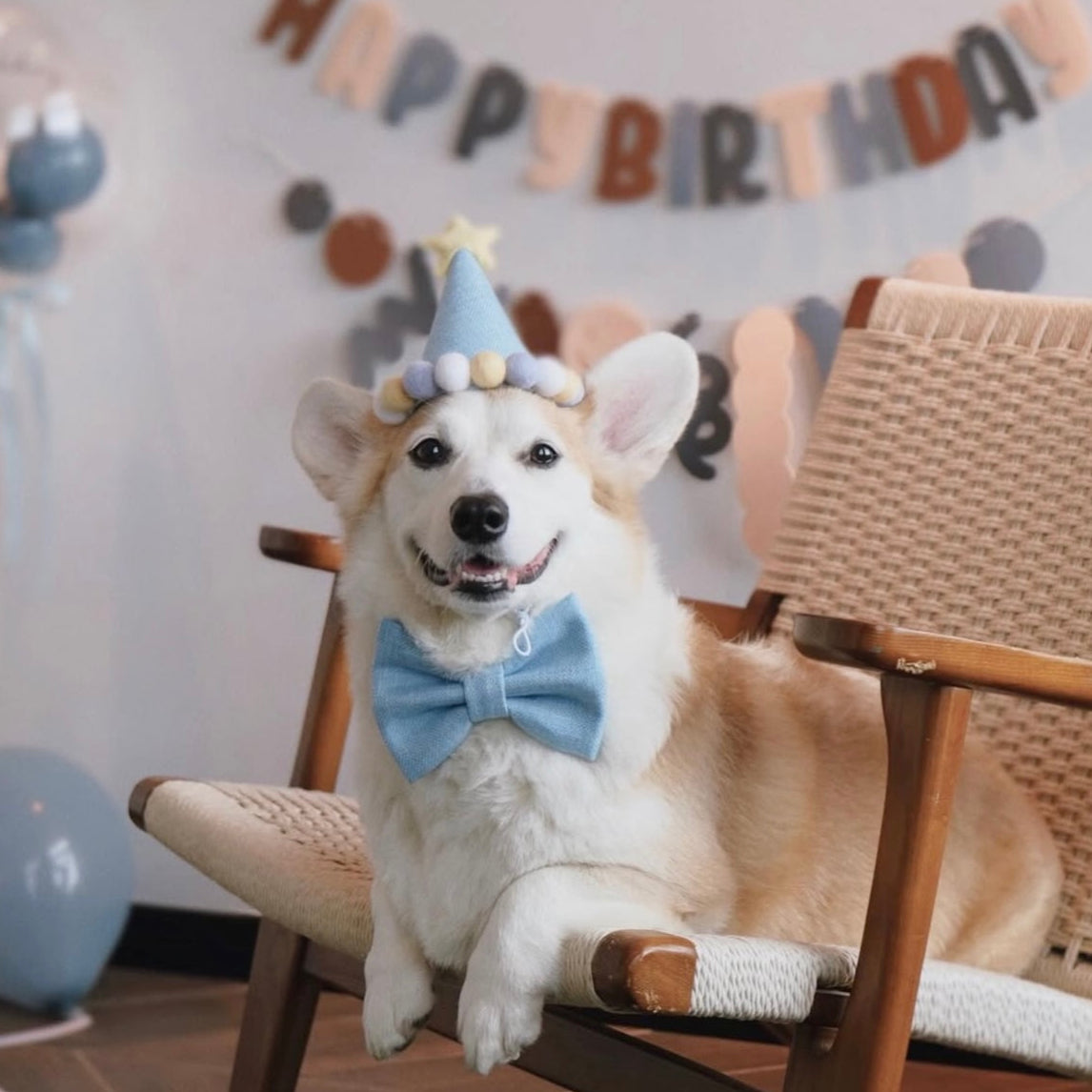 BARKDAY HAT - BABY MILKSHAKE