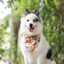 AKI AUTUMN - Bowtie Petite & Large // READY TO SHIP