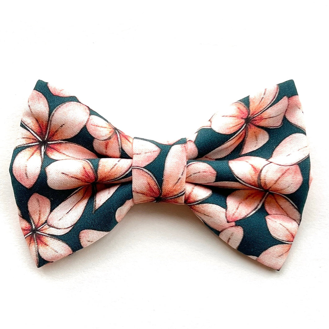 PLUMERIA ISLAND - Bowtie Standard // READY TO SHIP