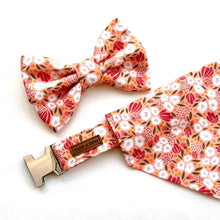 PEACH CAMELLIA - Dog Collar 2.5cm Large // READY TO SHIP
