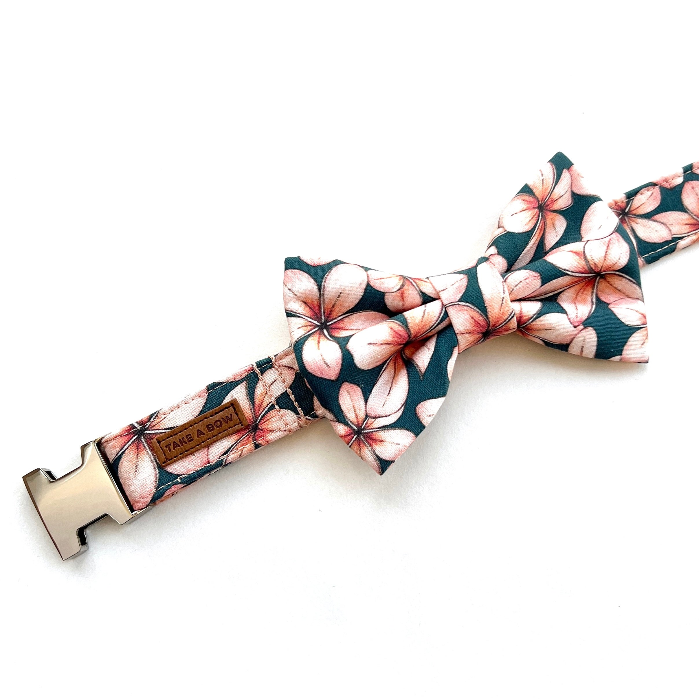 PLUMERIA ISLAND - Dog Collar 2.5cm Large // READY TO SHIP