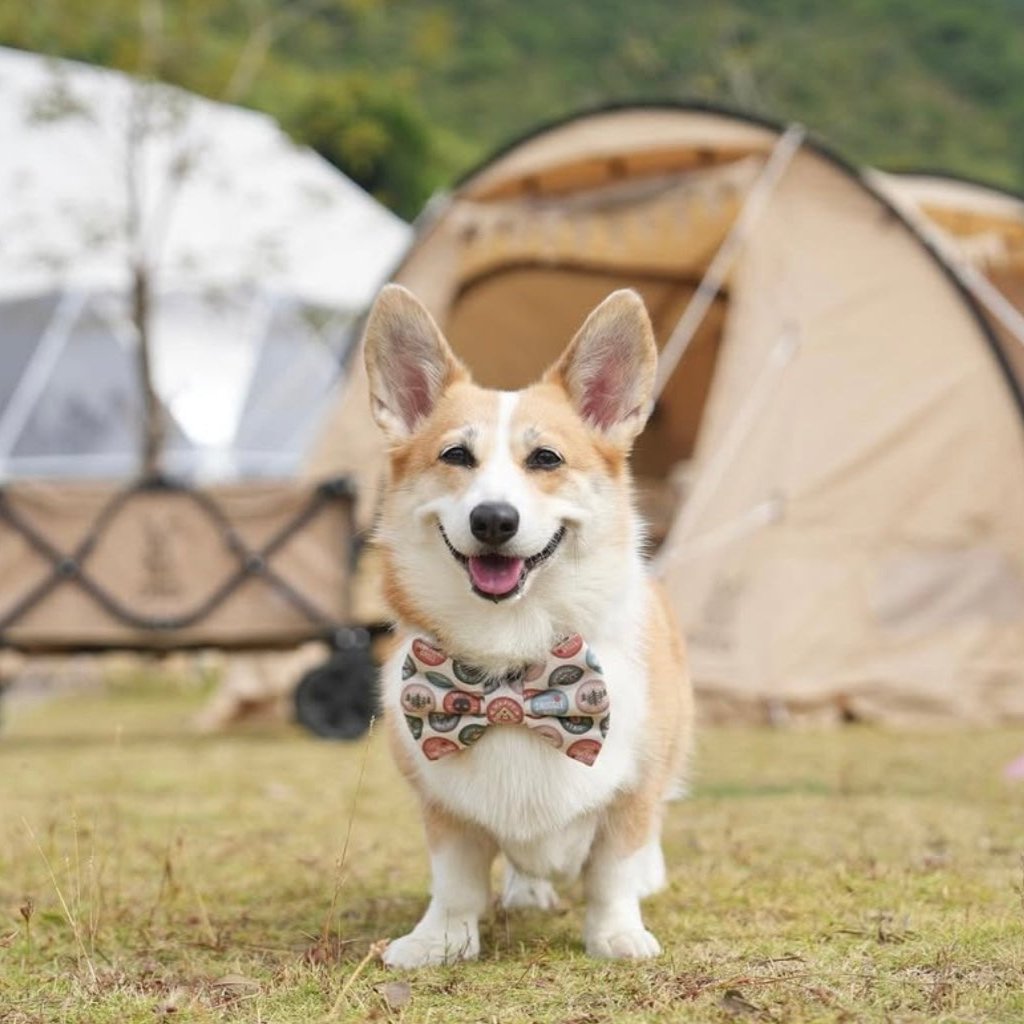 HAPPY CAMPER - Classic Tie-On Bandana Petite & Large // READY TO SHIP