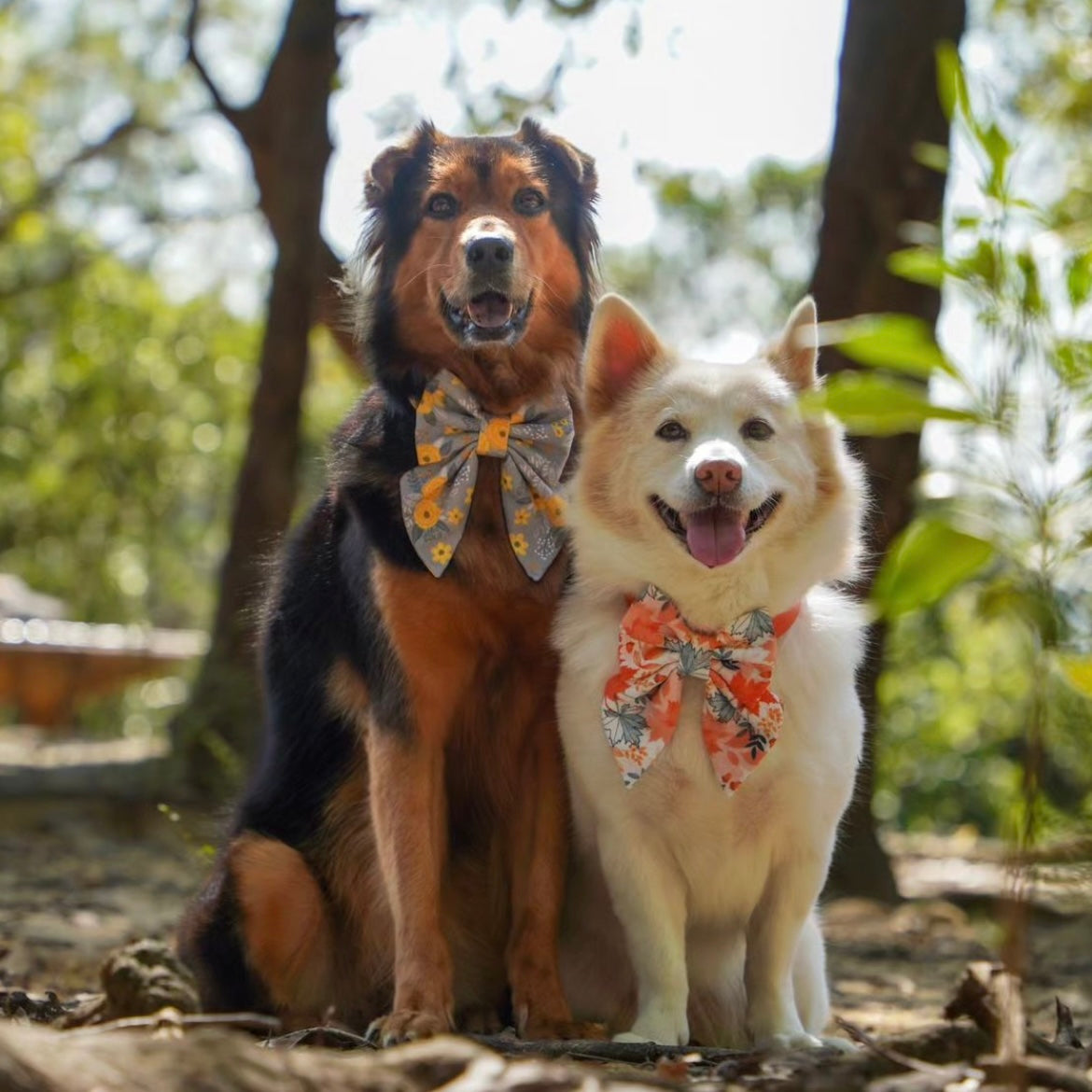 AUTUMN MAPLE - BANDANA