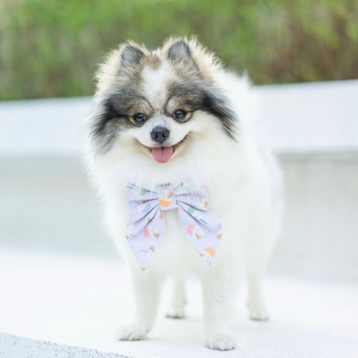 PUPCAKE LILAC - BANDANA
