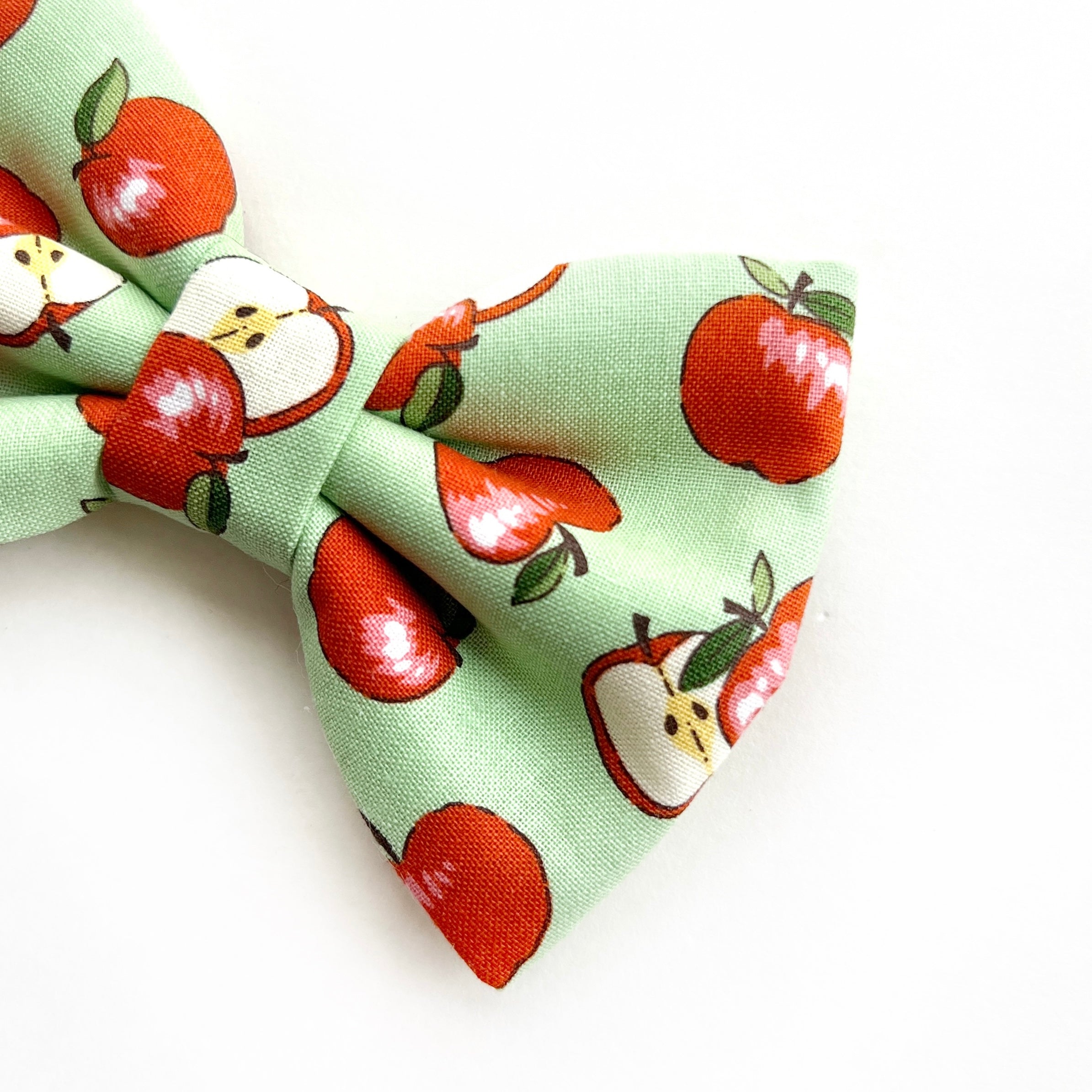 AN APPLE A DAY - Dog Collar 2.5cm Large // READY TO SHIP