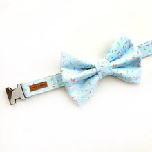PAWTY SPRINKLES - MAYA BLUE - Dog Collar 2.5cm Large // READY TO SHIP