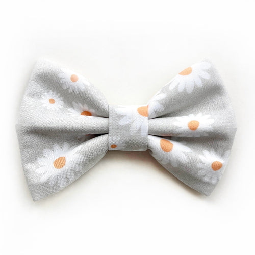 CHAMOMILE - Bowtie Large // READY TO SHIP
