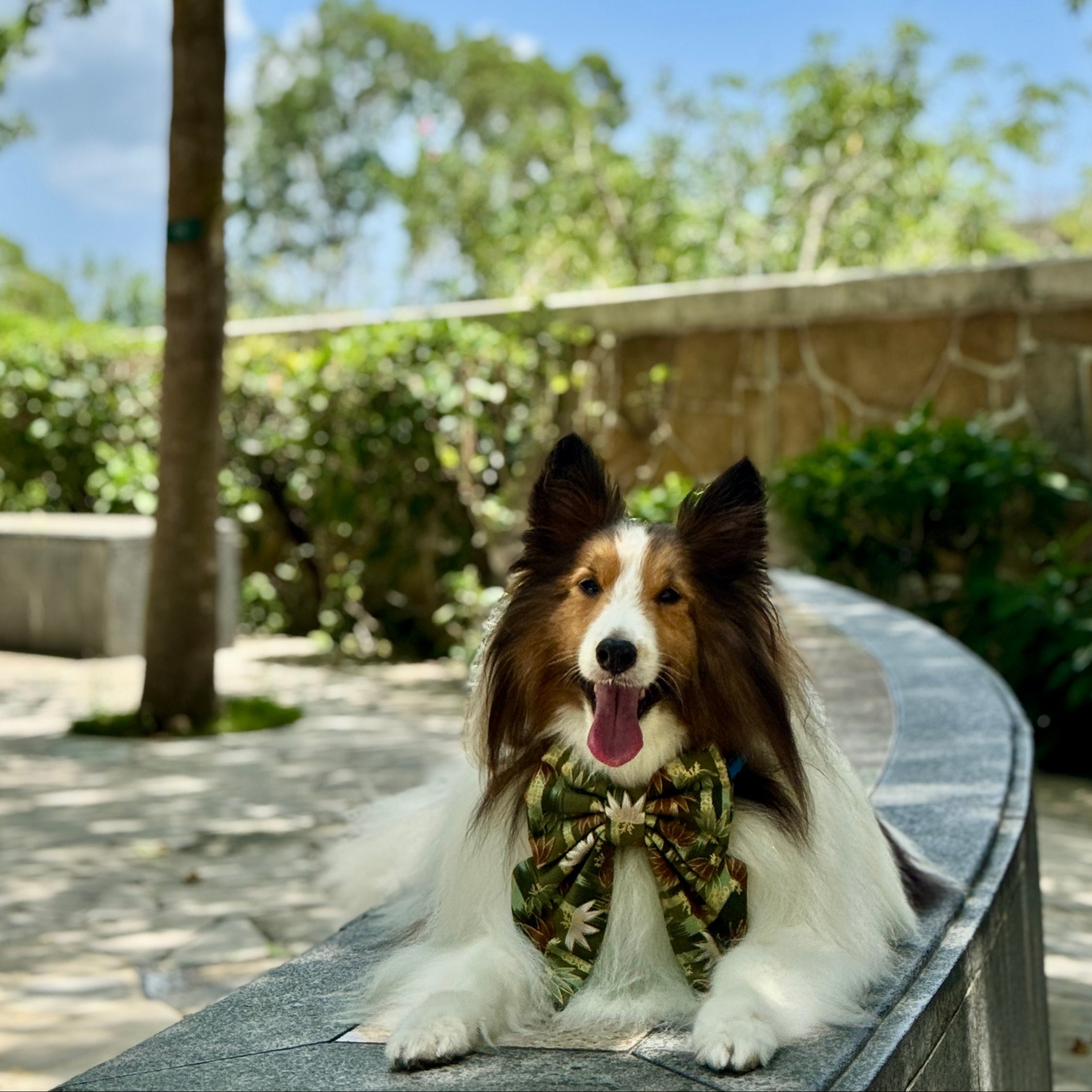 BAMBOO CHIKURIN GREEN - BANDANA