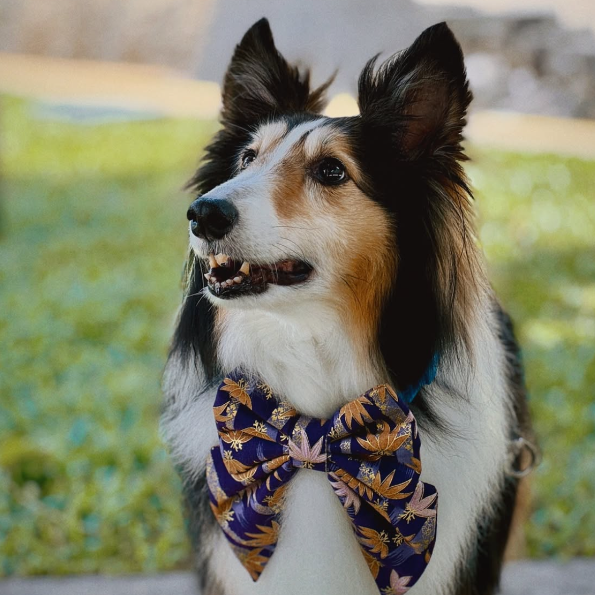 BAMBOO CHIKURIN PURPLE - BANDANA